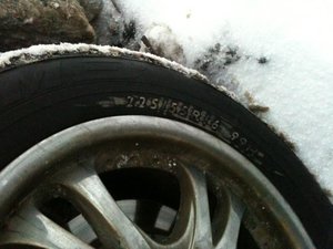 IMG_0392.jpg