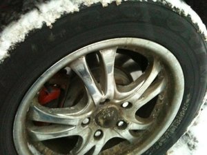 IMG_0393.jpg
