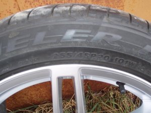 2011%20226.jpg