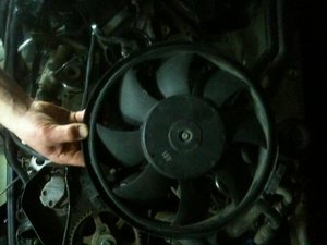 IMG_0367.jpg