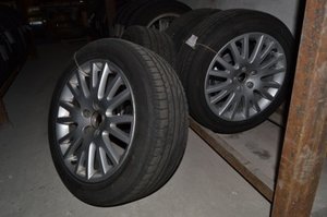 sh3.JPG