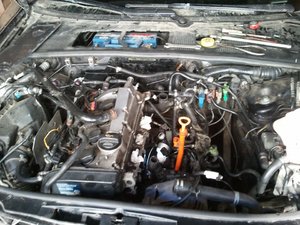 48cee22c1c6facb1-large.jpg