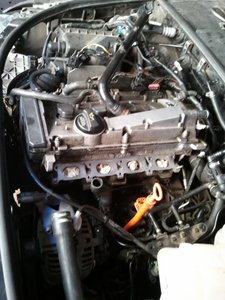 48cee22c0772f86b-large.jpg