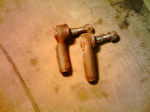 IMAG0664.jpg