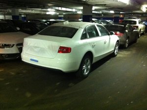 IMG_0107.jpg