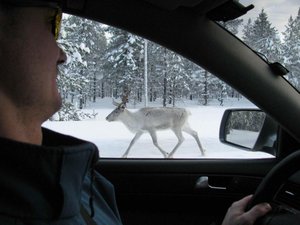 IMG_2505.jpg