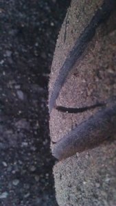 IMAG0185.jpg