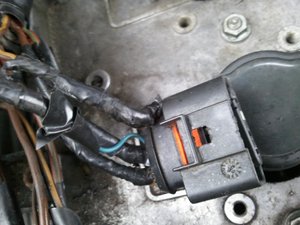 2012-04-11 18.40.08.jpg