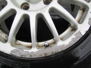 IMG_0964.jpg
