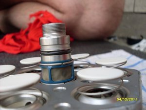 SDC12926.jpg