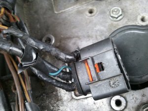48cee68facaf2874-large.jpg