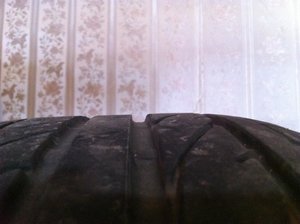 IMG_1081.jpg