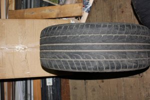 IMG_5878.jpg