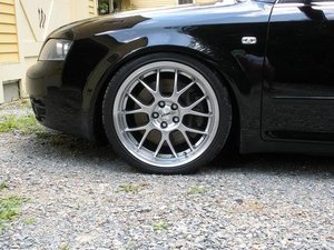 rial_rear фотка.jpg