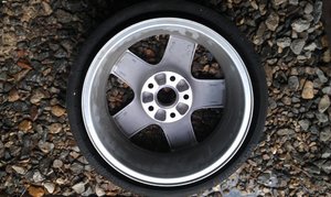 IMAG0445.jpg