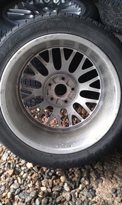 IMAG0429.jpg