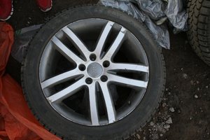 IMG_0504.jpg