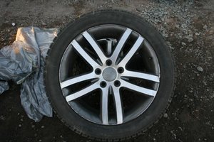 IMG_0507.jpg