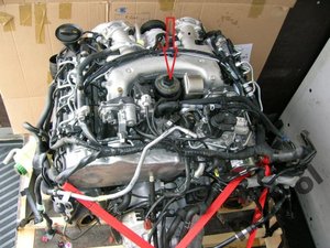 2263754913 (1).jpg