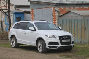 IMG_8650.jpg