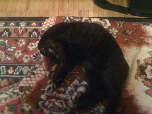 IMG_0541.jpg