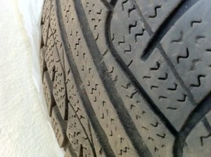 IMG_0995.jpg