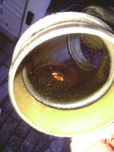 IMAG0092.jpg