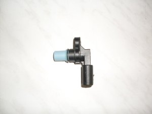 SDC11843.jpg