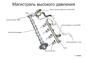 МВД.GIF