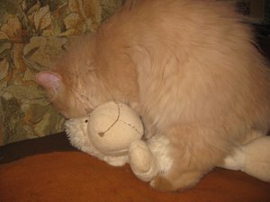IMG_4104.JPG