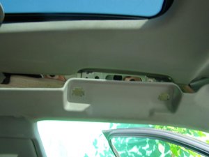 DSC06613.jpg