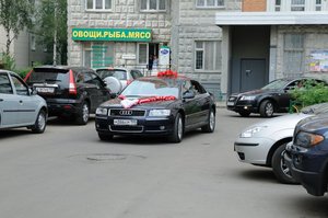 555.jpg