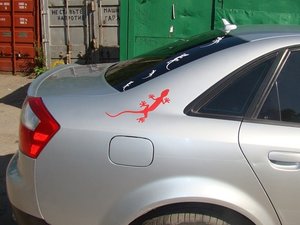 48cf00f00e02ad85-large.jpg