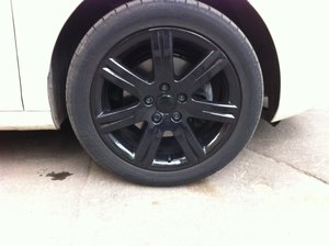 IMG_2381.jpg