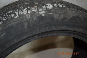 DSC_5572.jpg