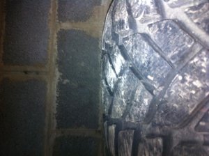 IMG_1166.jpg