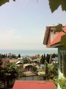 IMG_0203.jpg
