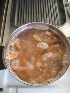 IMG_0755.jpg