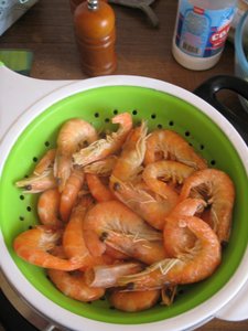 IMG_0758.jpg