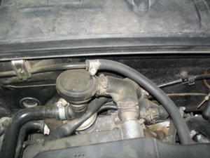 100_2289.jpg