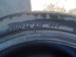 IMG_0239.jpg