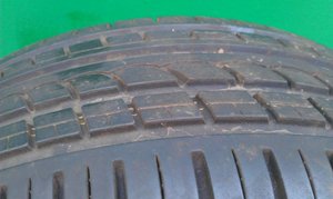 IMAG0310.jpg