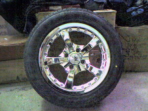 Photo-0065.jpg