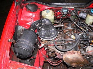 P1100865(1).JPG
