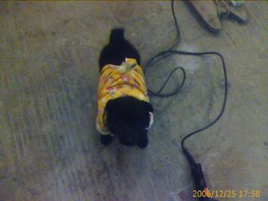 IMAGE_00056.jpg