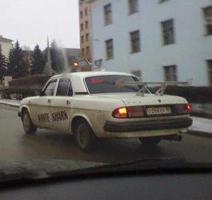 акулина.JPG
