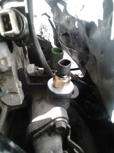 R1W425URAwE.jpg