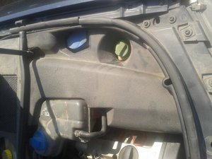 2012-06-12 11.45.13.jpg