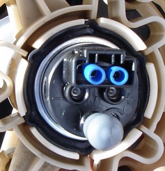 DSC061~1.jpg