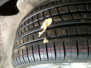 IMG_0065.jpg